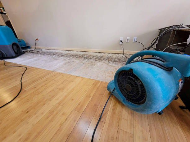 Professional Water Damage Repair technician working in West Stewartstown, NH